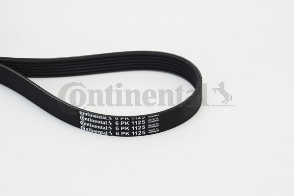 Curea transmisie cu caneluri 6PK1125 CONTINENTAL CTAM