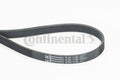 Curea transmisie cu caneluri 6PK1130 CONTINENTAL CTAM