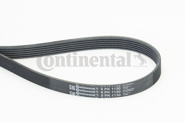Curea transmisie cu caneluri 6PK1130 CONTINENTAL CTAM