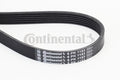 Curea transmisie cu caneluri 6PK1153 CONTINENTAL CTAM