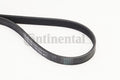 Curea transmisie cu caneluri 6PK1173 CONTINENTAL CTAM