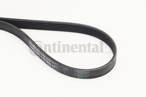 Curea transmisie cu caneluri 6PK1173 CONTINENTAL CTAM