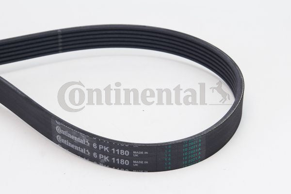 Curea transmisie cu caneluri 6PK1180 CONTINENTAL CTAM