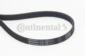 Curea transmisie cu caneluri 6PK1200 CONTINENTAL CTAM