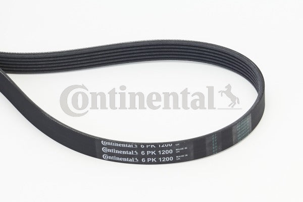 Curea transmisie cu caneluri 6PK1200 CONTINENTAL CTAM