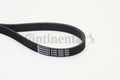 Curea transmisie cu caneluri 6PK1555 CONTINENTAL CTAM