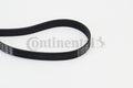 Curea transmisie cu caneluri 6PK1660 CONTINENTAL CTAM