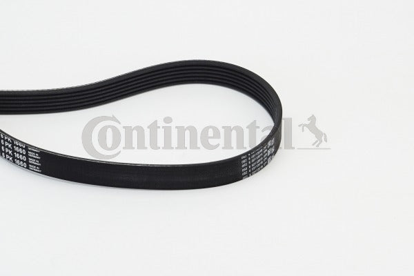 Curea transmisie cu caneluri 6PK1660 CONTINENTAL CTAM