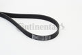 Curea transmisie cu caneluri 6PK1698 CONTINENTAL CTAM