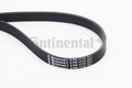 Curea transmisie cu caneluri 6PK1715 CONTINENTAL CTAM