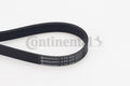 Curea transmisie cu caneluri 6PK976 CONTINENTAL CTAM