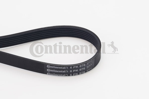 Curea transmisie cu caneluri 6PK976 CONTINENTAL CTAM