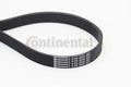 Curea transmisie cu caneluri 8PK2035 CONTINENTAL CTAM
