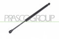 Amortizor portbagaj BM0249055 PRASCO