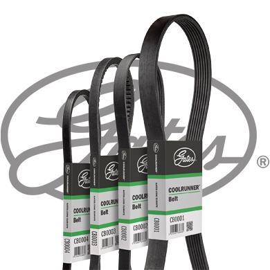 Curea transmisie cu caneluri CB0072 GATES