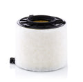 Filtru aer C 17 010 MANN-FILTER