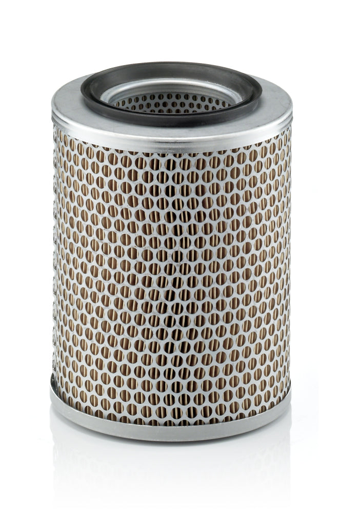 Filtru aer C 17 134 MANN-FILTER