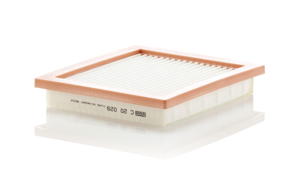 Filtru aer C 20 029 MANN-FILTER