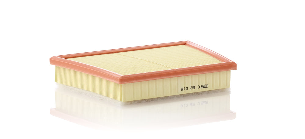 Filtru aer C 22 018 MANN-FILTER
