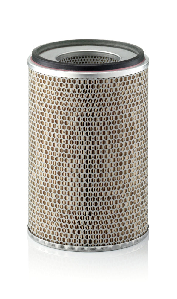 Filtru aer C 24 719 MANN-FILTER