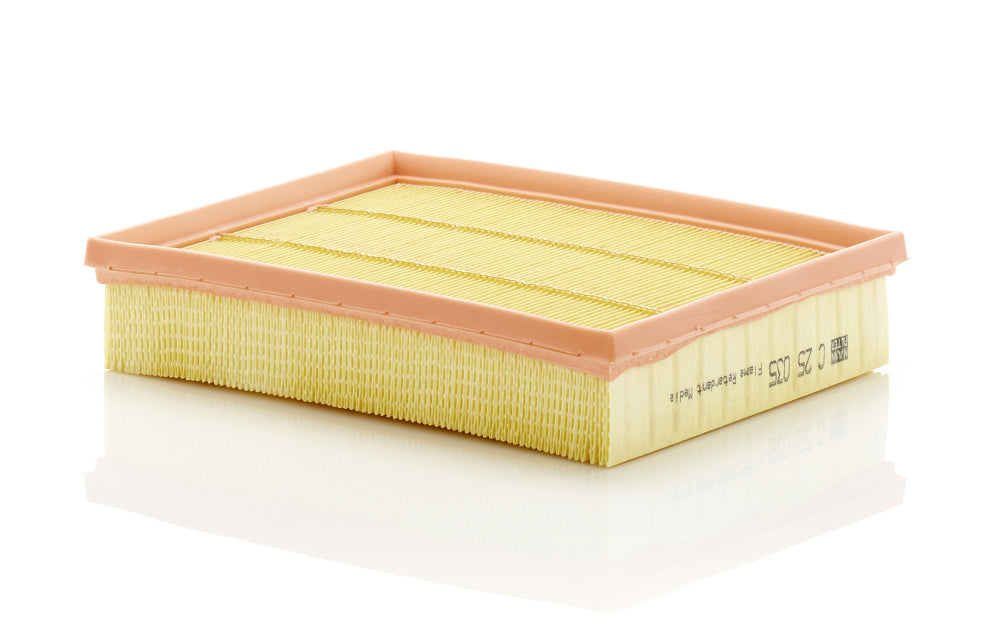 Filtru aer C 25 035 MANN-FILTER