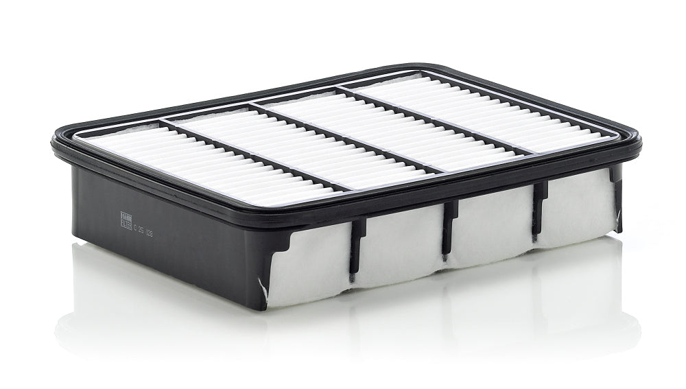 Filtru aer C 25 128 MANN-FILTER