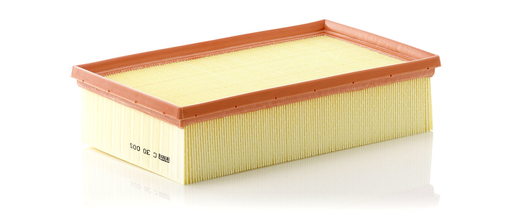 Filtru aer C 30 005 MANN-FILTER