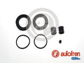 Set reparatie, etrier D4440 AUTOFREN SEINSA