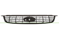 Grila radiator FD4262001 PRASCO