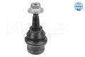 Articulatie sarcina/ghidare 116 010 0019 MEYLE
