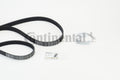 Set curea transmisie cu caneluri 6PK1059 ELAST T2 CONTINENTAL CTAM
