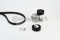 Set curea transmisie cu caneluri 6PK1555K2 CONTINENTAL CTAM