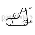 Curea transmisie cu caneluri 6PK1042 ELAST CONTINENTAL CTAM