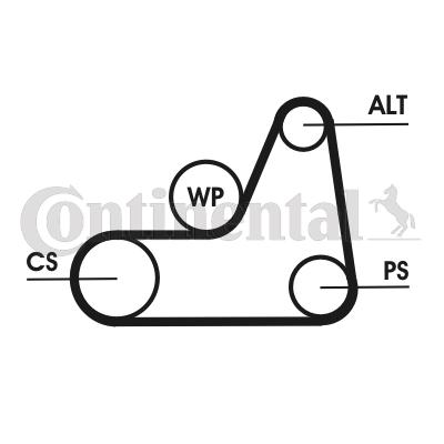Curea transmisie cu caneluri 6PK1042 ELAST CONTINENTAL CTAM