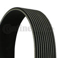 Curea transmisie cu caneluri 10PK2451 CONTINENTAL CTAM