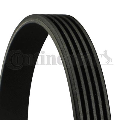 Curea transmisie cu caneluri 5PK1100 CONTINENTAL CTAM