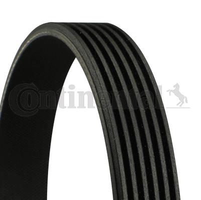 Curea transmisie cu caneluri 6PK1915 CONTINENTAL CTAM