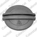 buson,vas expansiune RC0011 CALORSTAT by Vernet