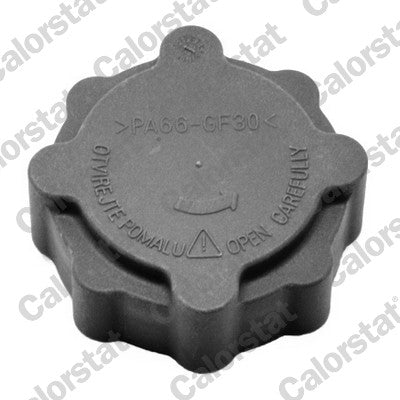 buson,vas expansiune RC0025 CALORSTAT by Vernet