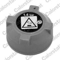 buson,vas expansiune RC0086 CALORSTAT by Vernet
