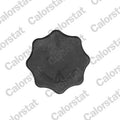 buson,vas expansiune RC0198 CALORSTAT by Vernet
