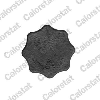 buson,vas expansiune RC0198 CALORSTAT by Vernet