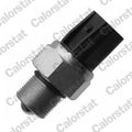 Comutator, lampa marsalier RS5634 CALORSTAT by Vernet