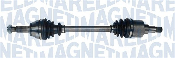 Planetara 302004190175 MAGNETI MARELLI