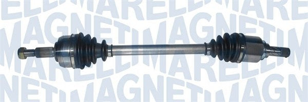 Planetara MAGNETI MARELLI 302004190246
