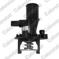 termostat,lichid racire TE6756.84J CALORSTAT by Vernet