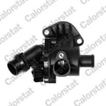 termostat,lichid racire TE6842.100J CALORSTAT by Vernet