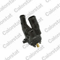 termostat,lichid racire TE7089.98J CALORSTAT by Vernet