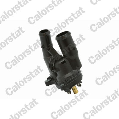 termostat,lichid racire TE7089.98J CALORSTAT by Vernet