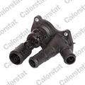 termostat,lichid racire TE7090.98J CALORSTAT by Vernet